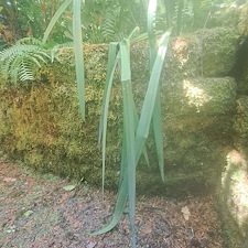 Spring-pressure-washing-for-Kirkland-springs-apartments 11